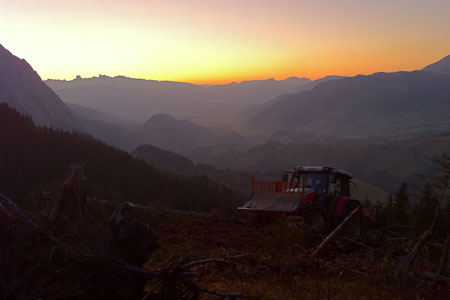 Forstservice in schwierigem Gelände nach Sturmschäden bei Sonnenuntergang